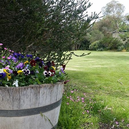 Padthaway Caravan Park Luaran gambar
