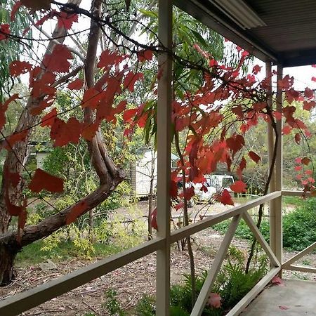 Padthaway Caravan Park Luaran gambar
